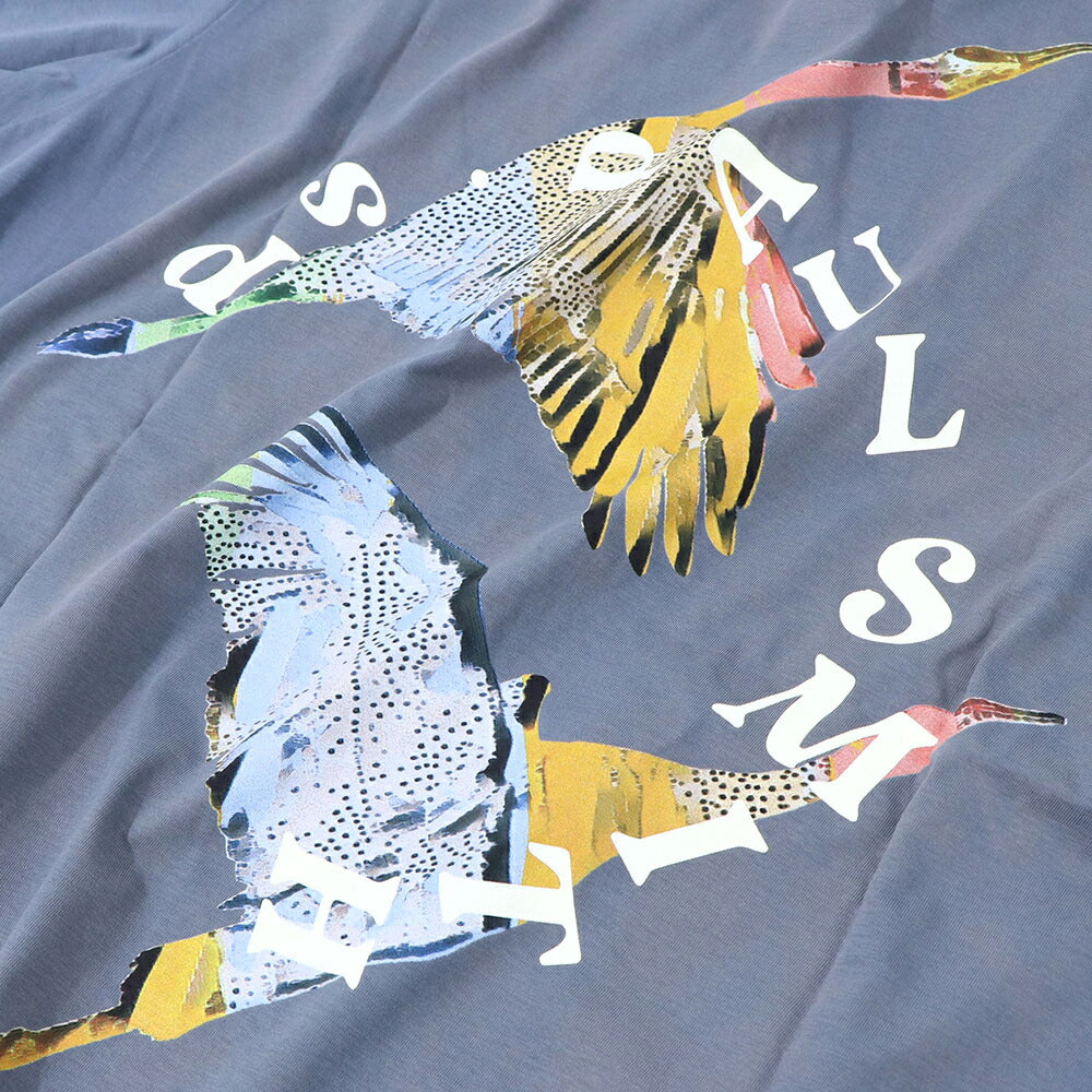 ポール スミス Paul Smith トップス Tシャツ・カットソー メンズ REG FIT SS TSHIRT FLYING BI 43 79 コットン ロゴ バックプリント 鳥 バード クルーネック 半袖 M2R-220X-LP4246
