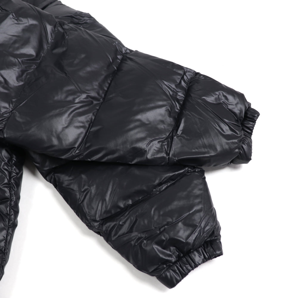 THE NORTH FACE NJ3NP55A ダウンジャケット