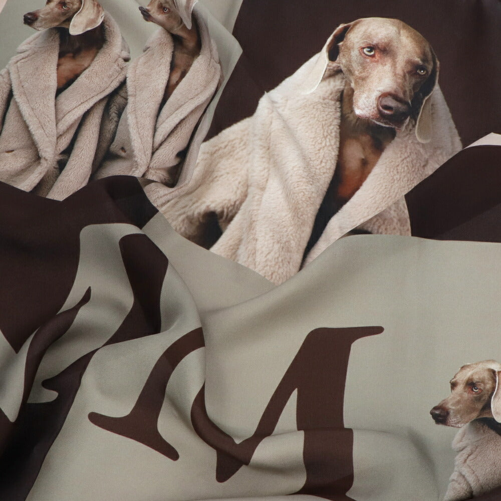 Max Mara スカーフ ブラウン系 シルク 大判スカーフ ウィリアムウェグマン 45461337
