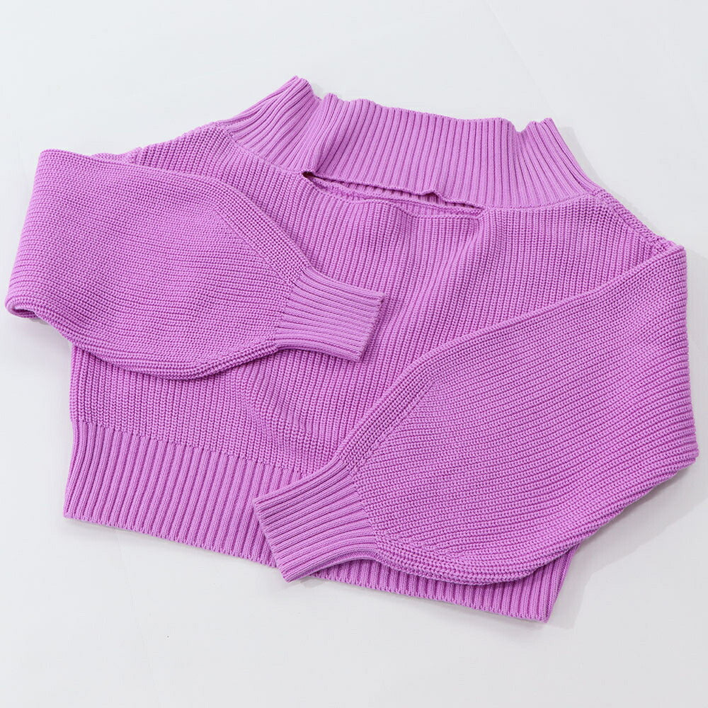 PINKO ニット パープル ホワイト ハイネック クロップド丈 100522-A0LZ