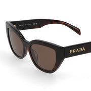 PRADA アイウェア プラダロゴ サングラス ブラウントータスカラー キャットアイデザイン レタリングロゴ SPRA09 E16N