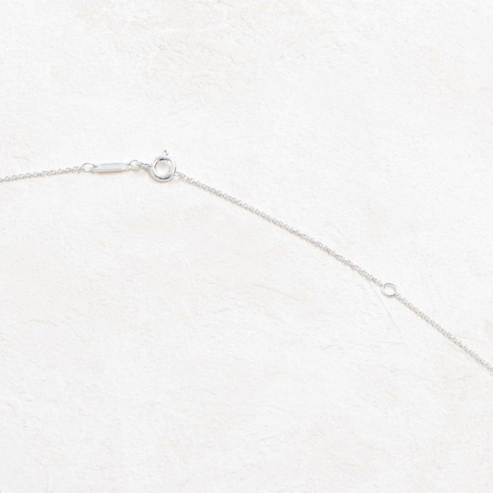 Tiffany & Co ティファニー レディース アクセサリー ネックレス シルバー シルバー925 ハートタグ ペンダント 69683975